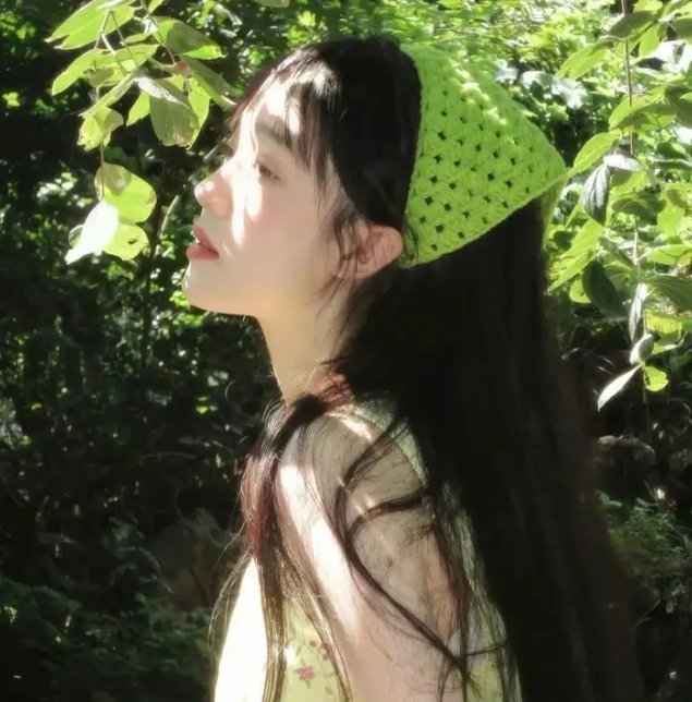 蜂蜜与四叶草第一季